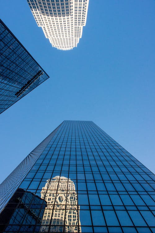 무료 로우 앵글 뷰 촬영 고층 빌딩 스톡 사진