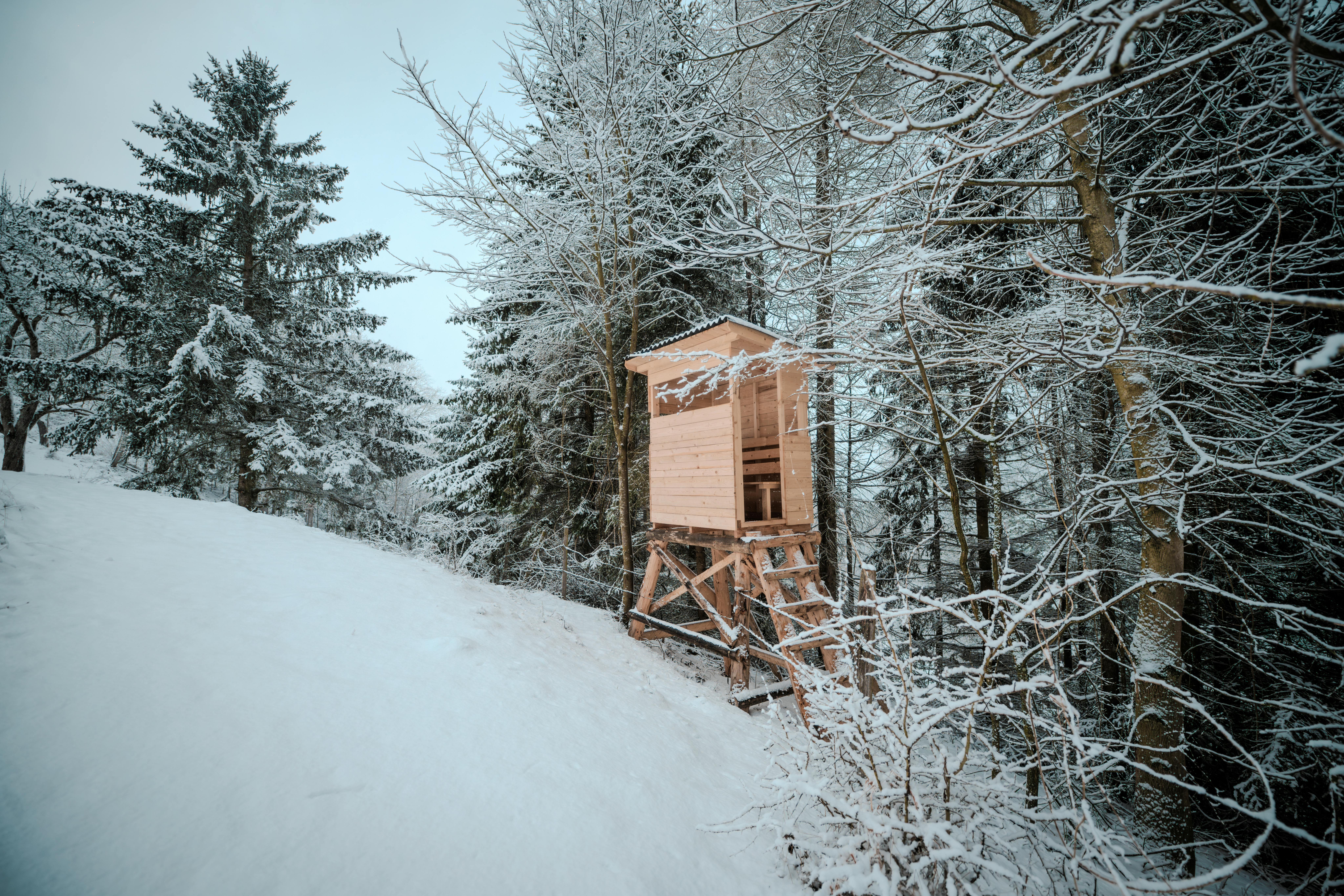 Scène de forêt enneigée avec un pavillon de chasse à Lilienfeld, en Autriche.