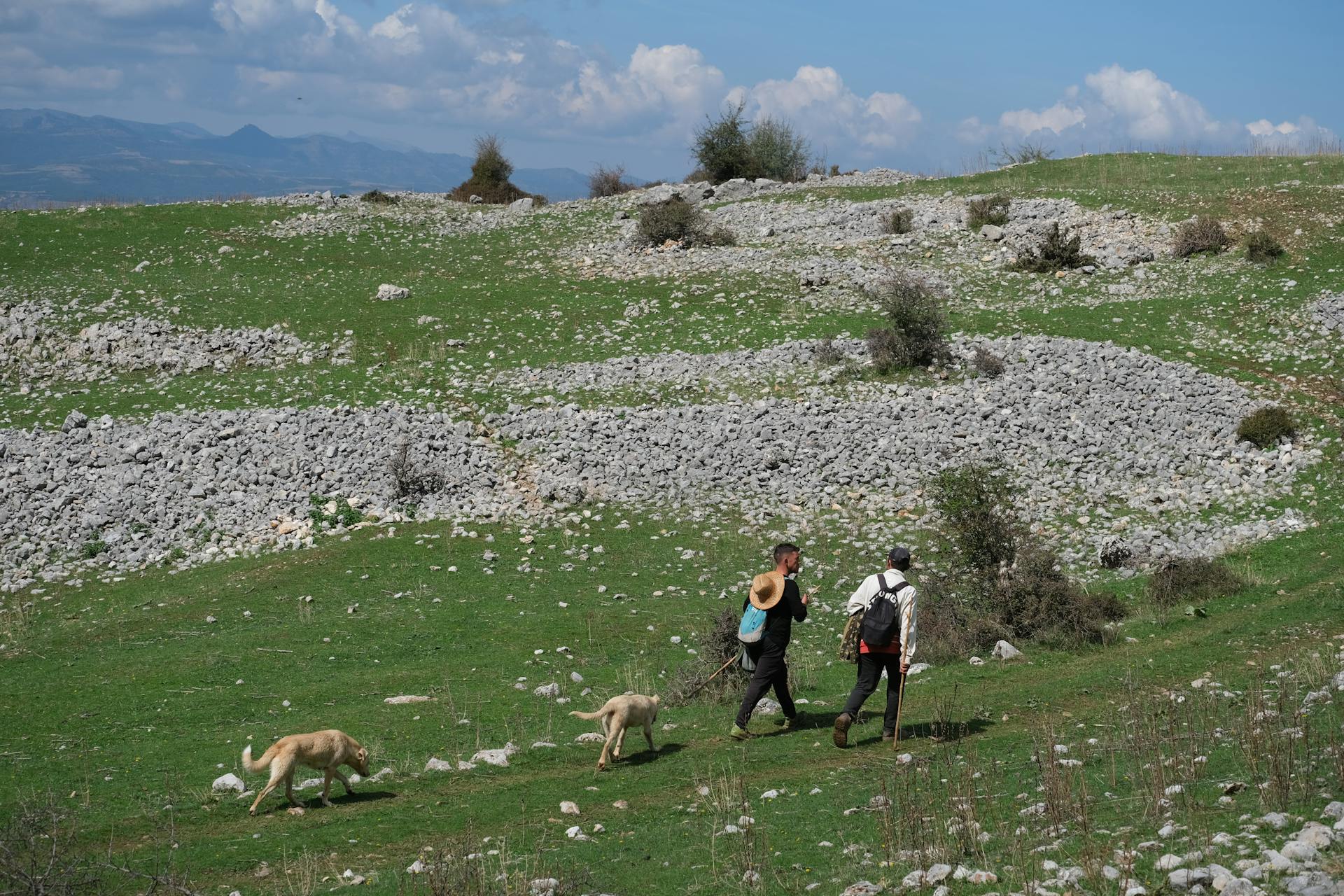 Two hikers with dogs traverse a rocky green terrain under a clear blue sky.