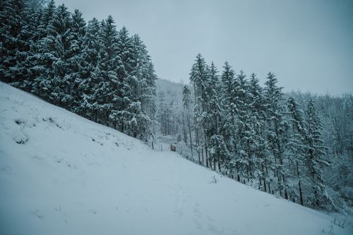 Free Explore a serene snow-covered forest landscape in Lower Austria, capturing the tranquil beauty of winter. Stock Photo