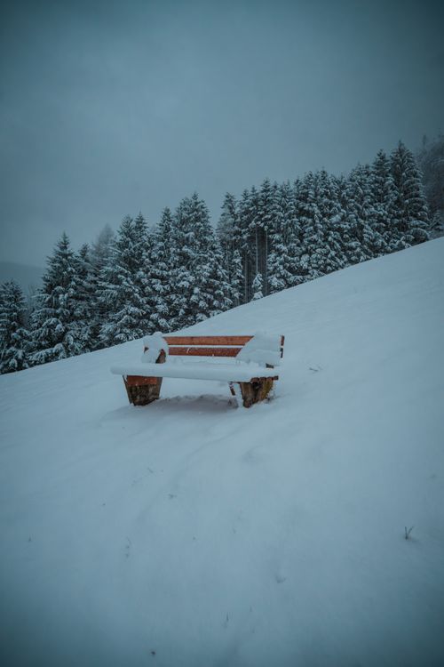 Free Serene winter scene in a snowy forest with an empty bench covered in snow. Stock Photo
