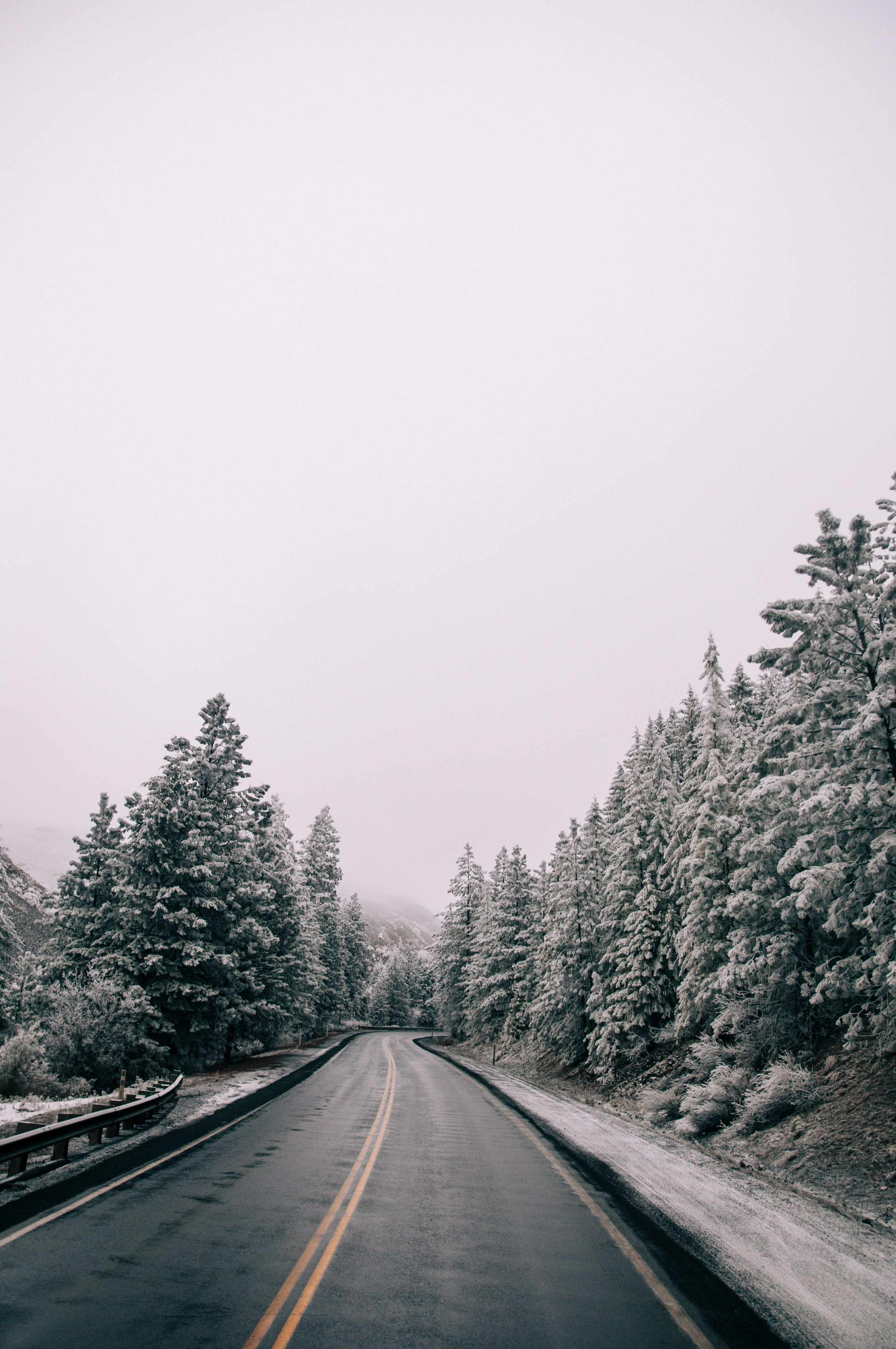 Scenic Snowy Road Through Forest in Winter · Free Stock Photo