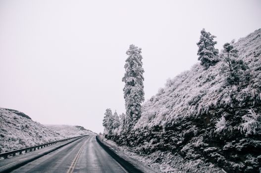 A peaceful winter scene of a quiet road lined with snow-covered trees and hills, capturing the essence of the chilly season.