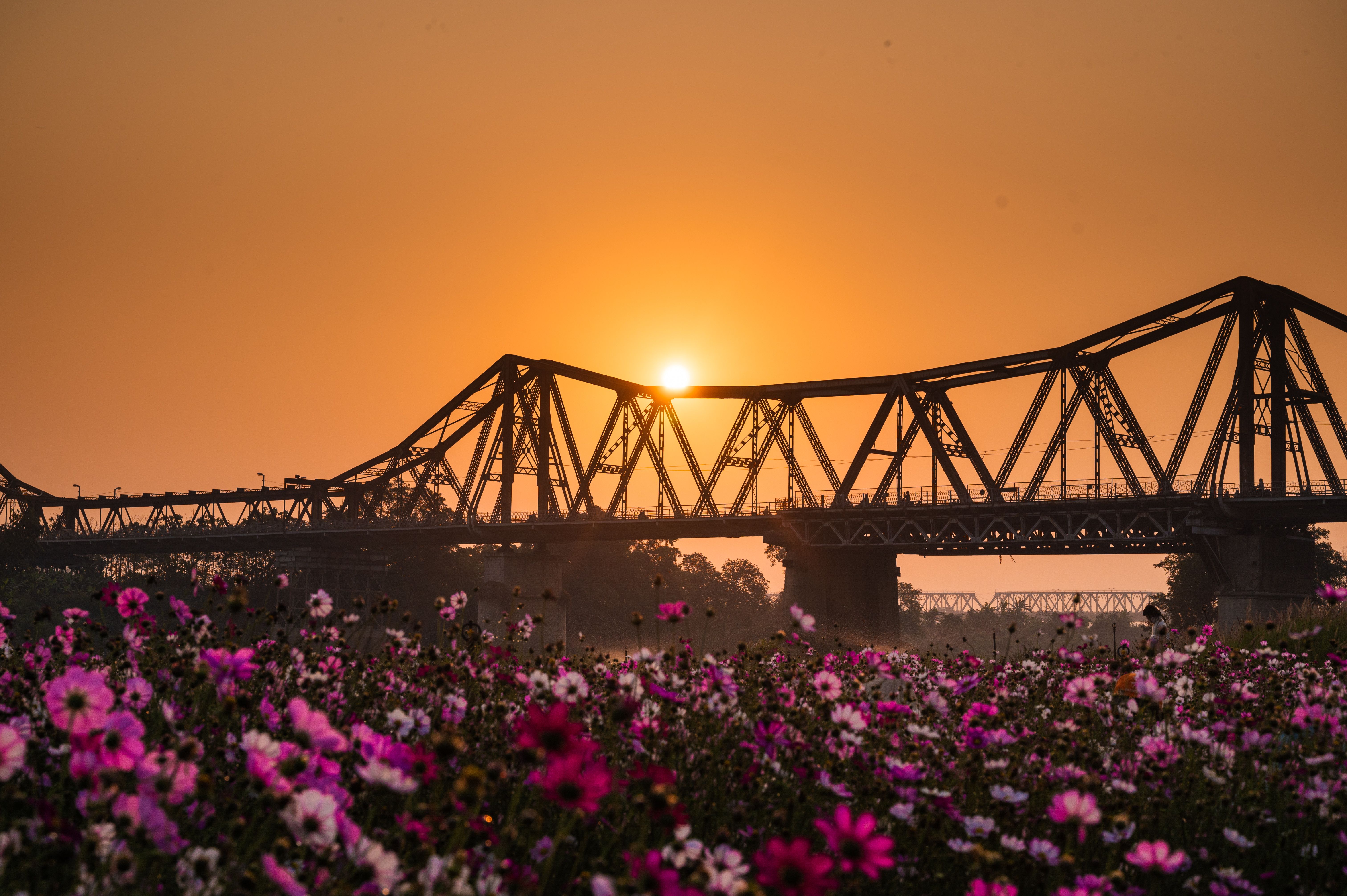 Scenic view of a truss bridge at sunset with pink wildflowers in the foreground, creating a vibrant landscape.