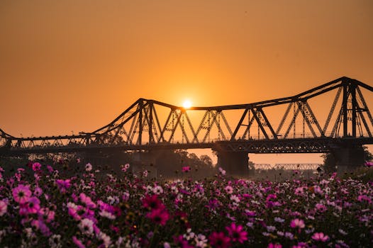 Scenic view of a truss bridge at sunset with pink wildflowers in the foreground, creating a vibrant landscape.