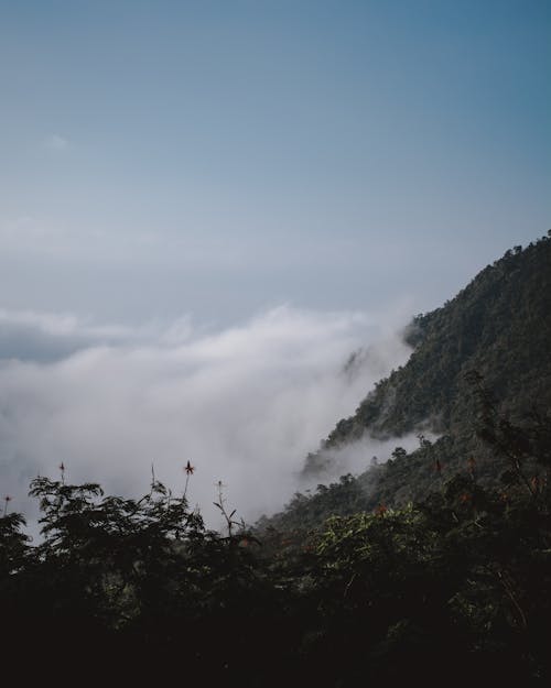 Gratis Foto stok gratis di atas awan, fotografi alam, kabut Foto Stok