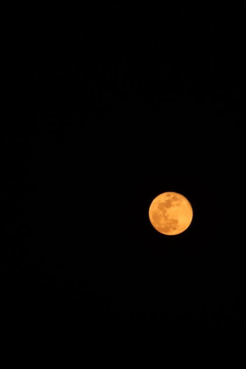 Free A striking full moon set against a pitch-black night sky, captured in Okara, Pakistan. Stock Photo