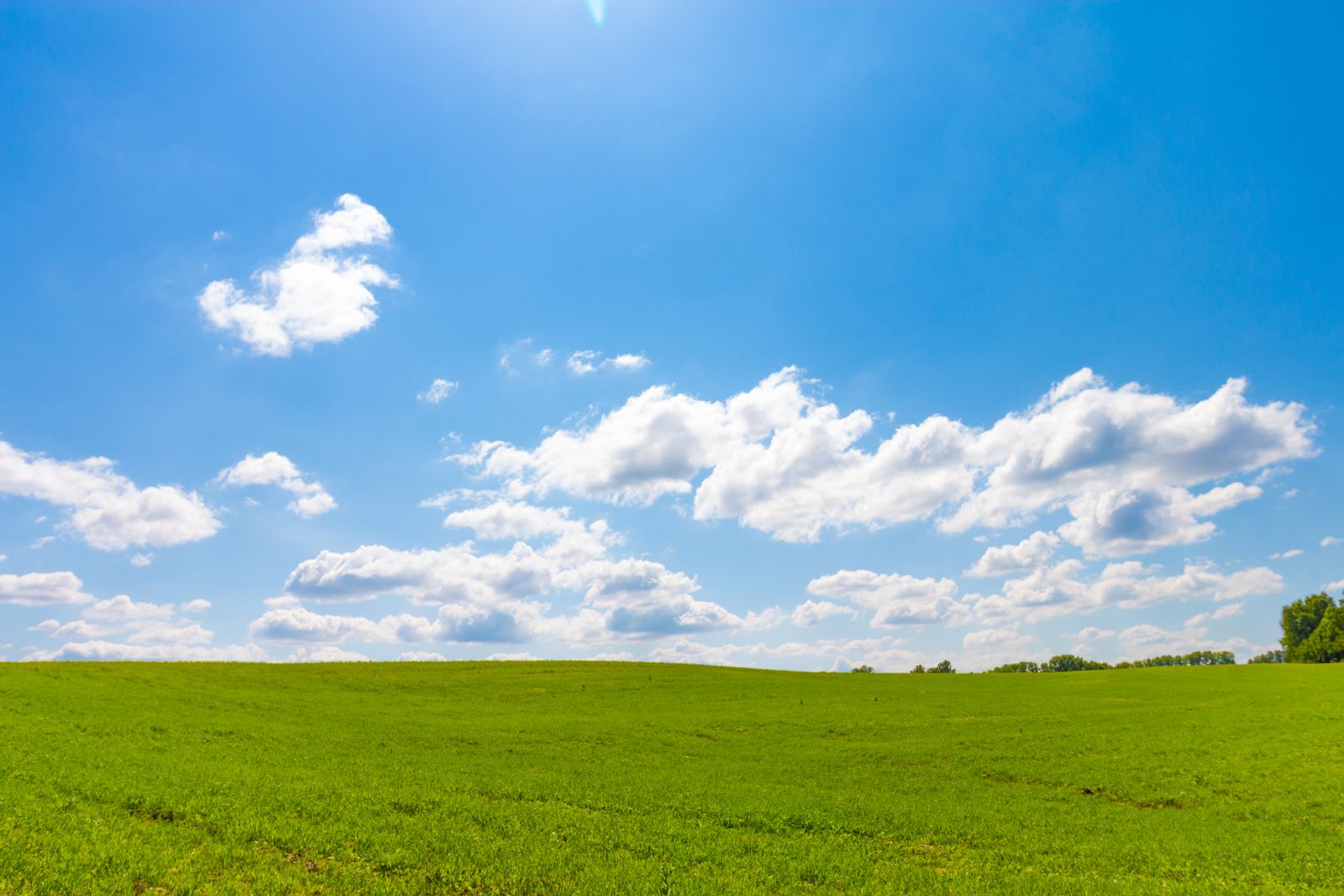 Green Grass Field Under Blue Sky · Free Stock Photo