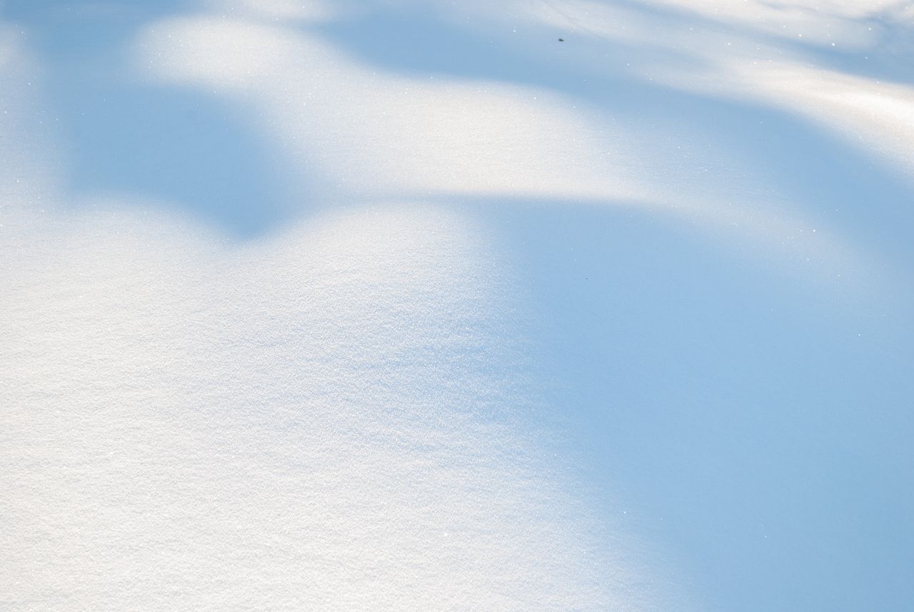 a tranquil scene of untouched snow with gentle shadows capturing winte