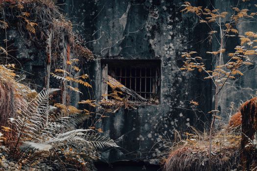 A mysterious abandoned structure overgrown with ferns and moss.