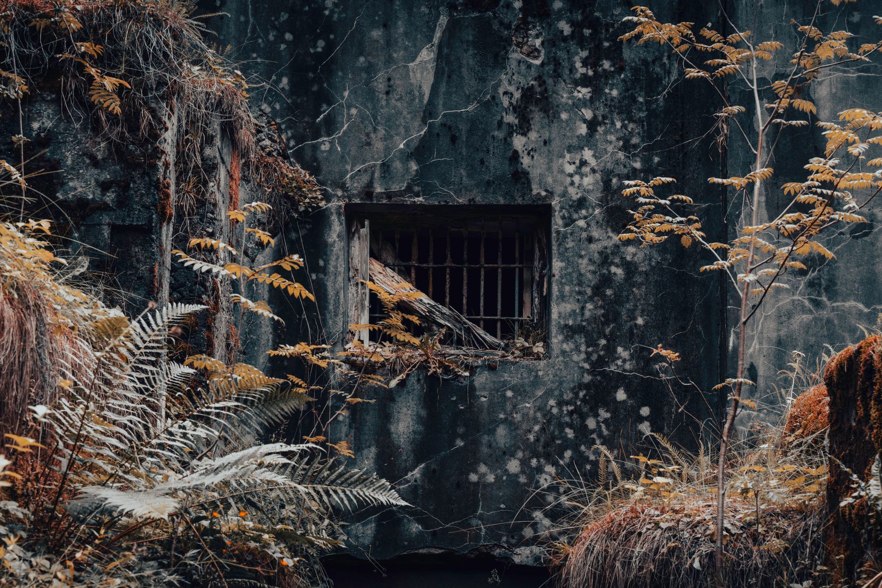 Hara Submarine Base: History, Ruins, and How to Explore Estonia's Abandoned Soviet Site