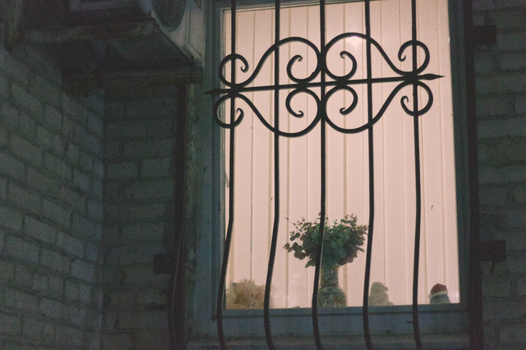 An atmospheric view of a barred window revealing indoor plants against a dimly lit backdrop.