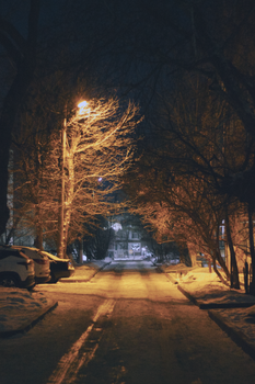 A serene snowy street illuminated by warm streetlights during a quiet winter night.