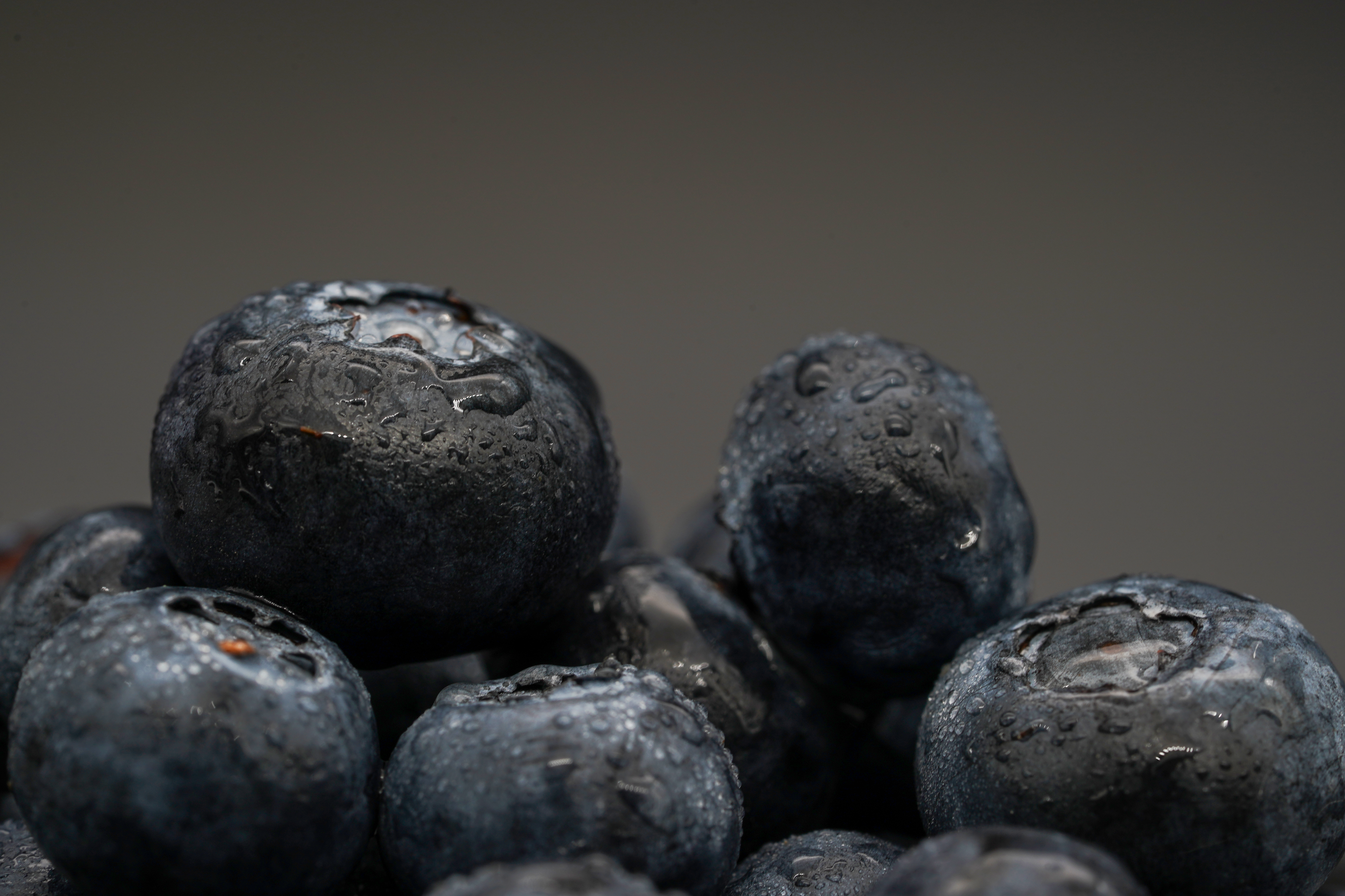Close-up of fresh blueberries with water droplets highlighting natural textures and freshness. - Evidence evidence guide for blueberry cognition randomized trial