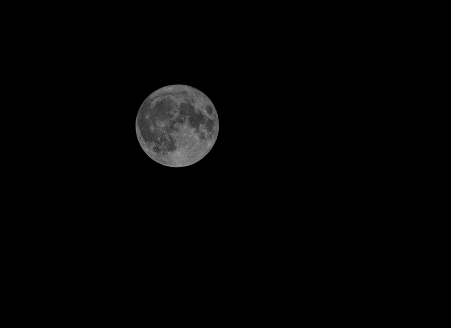 Fotomural Una fotografía detallada de una luna llena en el cielo nocturno, capturada desde Israel.