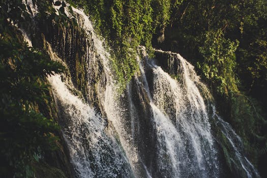 沿着绿树成荫的岩壁，宁静的瀑布流淌而下，营造出一片宁静的自然风光