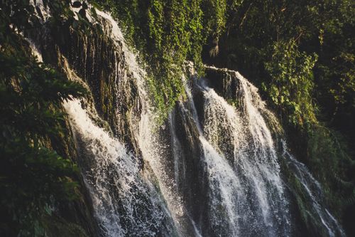 Free A tranquil waterfall flows down a rock face surrounded by lush green plants, creating a peaceful nature scene. Stock Photo