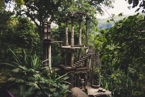 Free Ruins in Forest Stock Photo