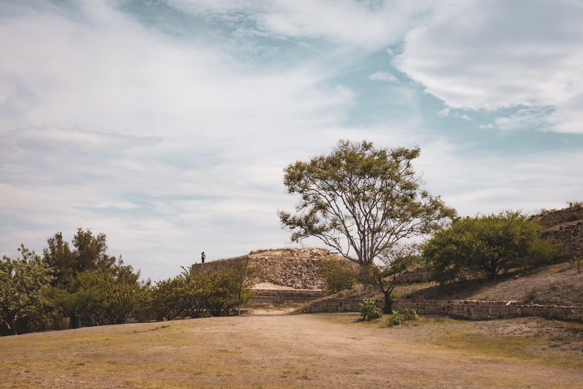 Wide view of Monte Albán in Oaxaca, showcasing ancient ruins and a tranquil tree under a vast sky.