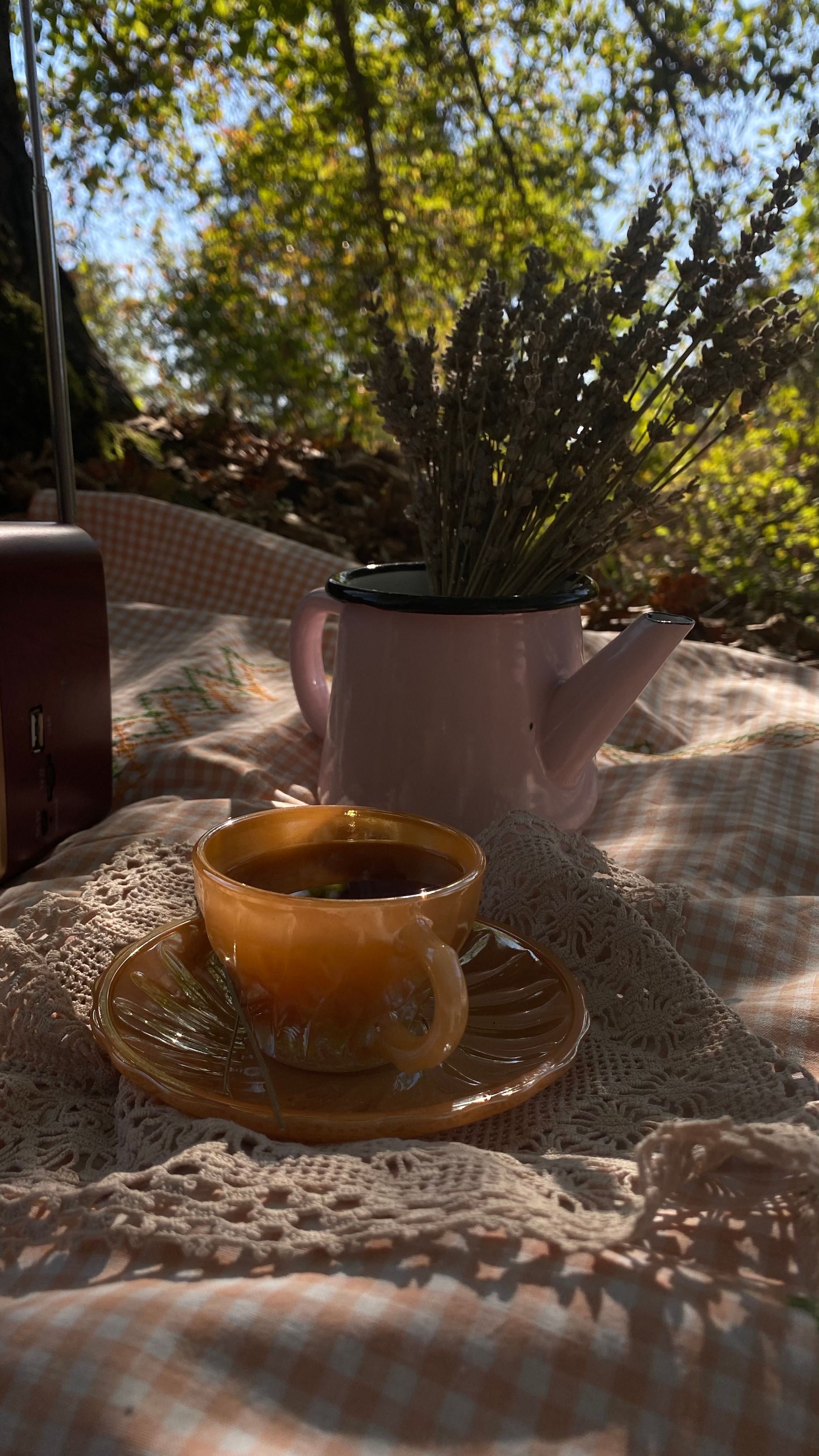 Photo by Kübra Şahin on pexels