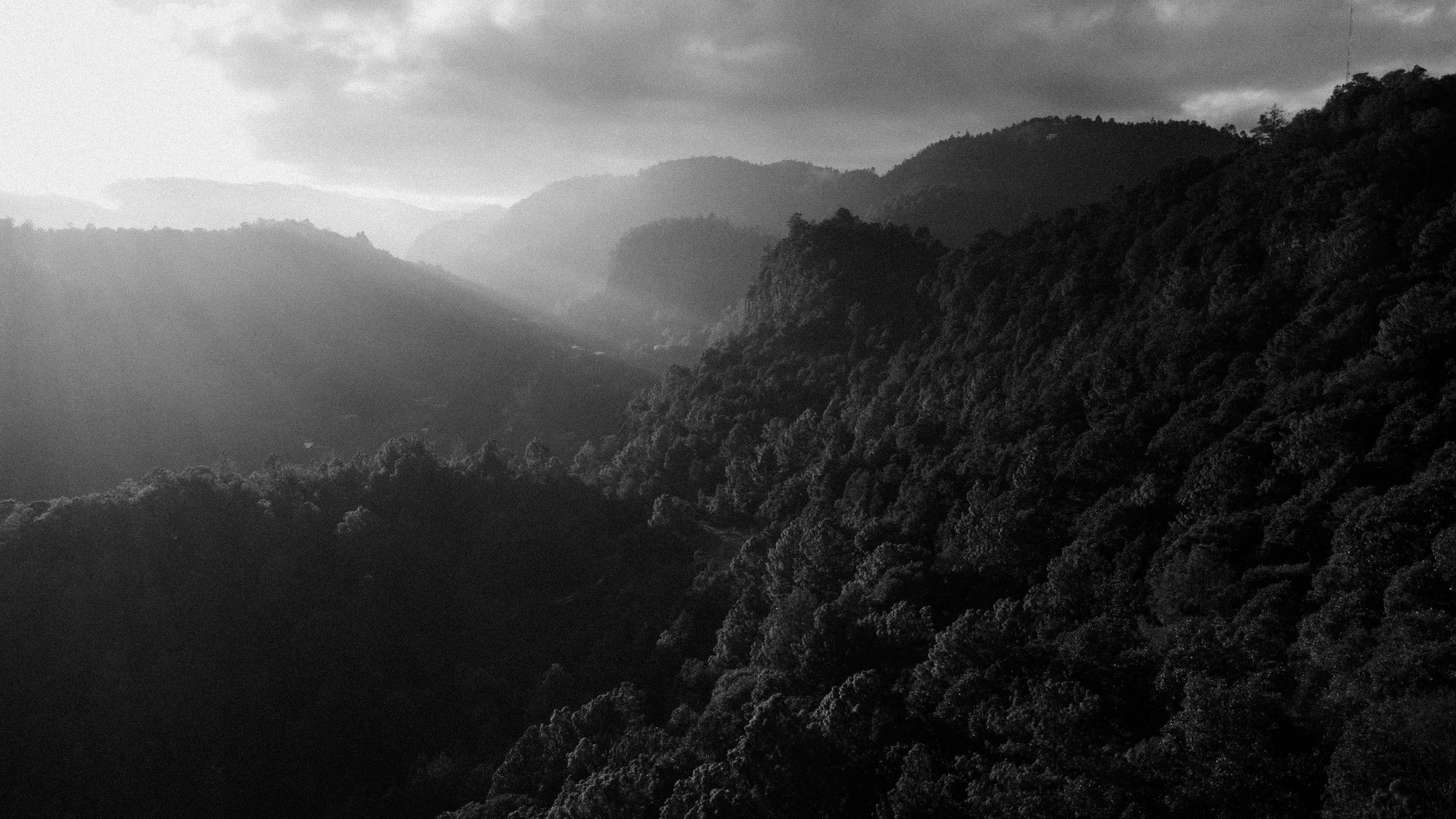 Coffee slopes and pine ridges above the town of Santiago de Puringla, La Paz