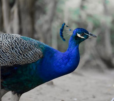 Santa Cruz, United States photo 10