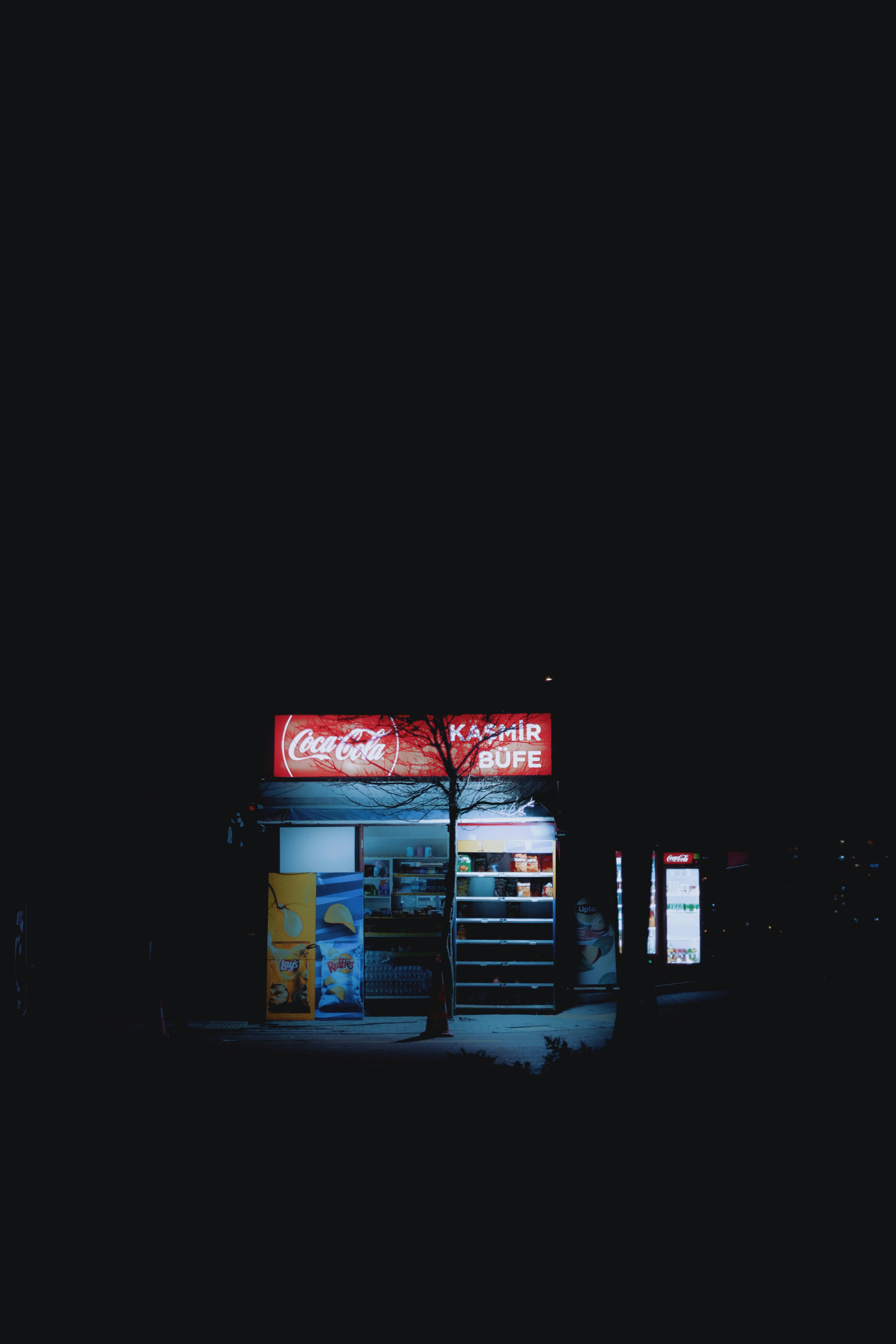 Amendă majorată de 100 de ori pentru tăierea ilegală a copacilor în Bucureşti