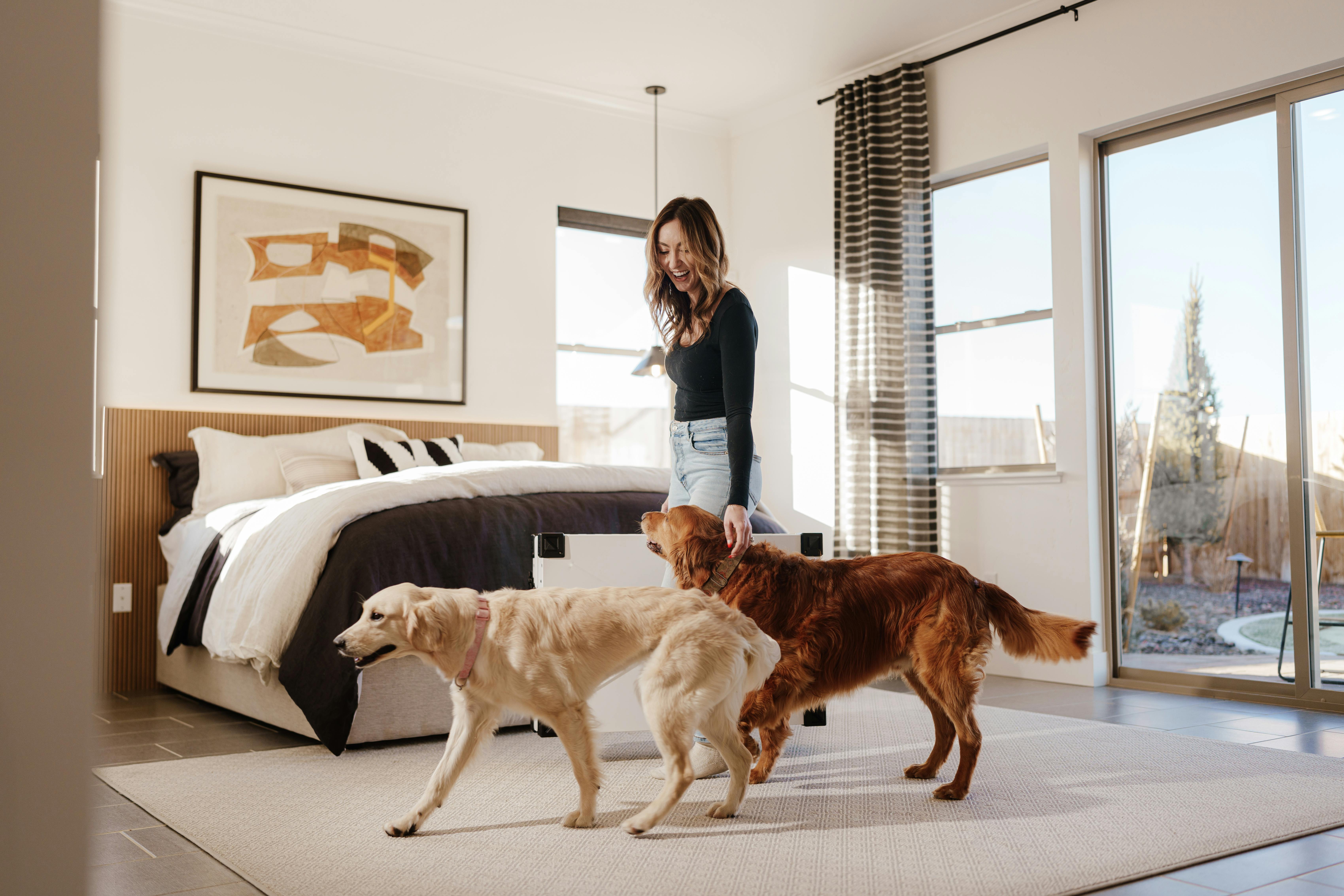 Bright bedroom scene with a woman playing with two golden retrievers, showcasing happiness and home aesthetics.