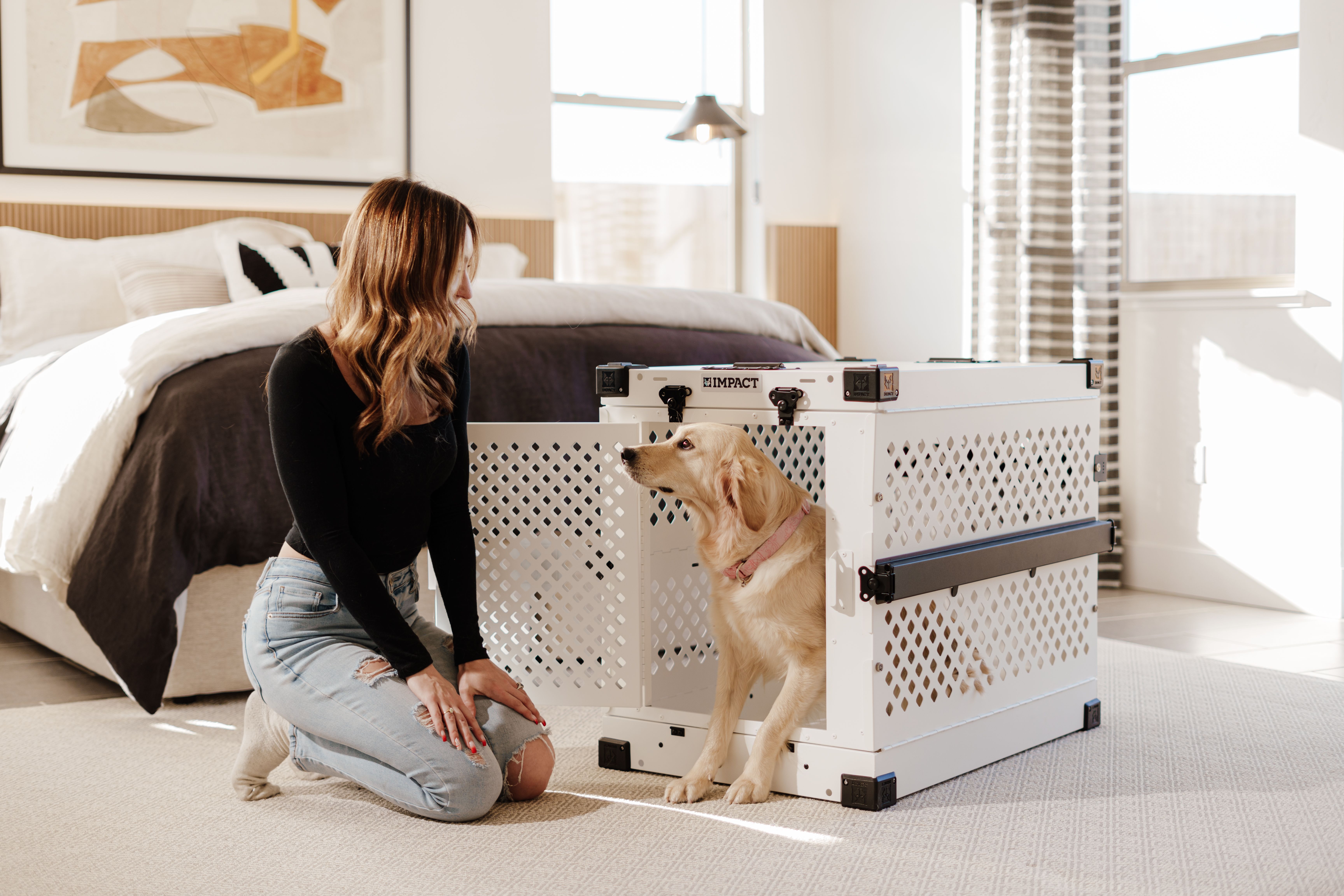 Dog Crate Safety Photos, Download The BEST Free Dog Crate Safety Stock ...
