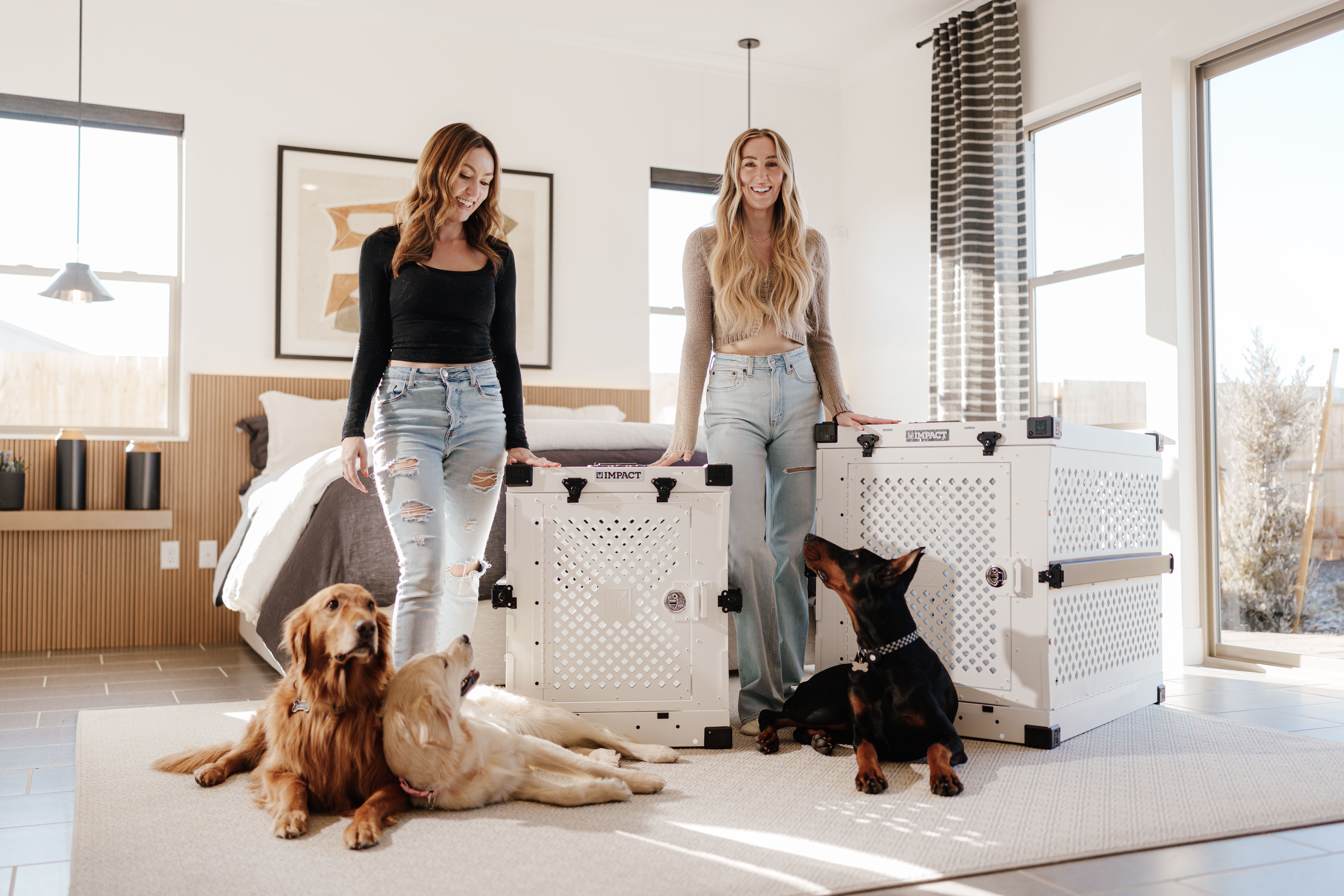 Modern Pet-Friendly Bedroom with Stylish Dog Crates · Free Stock Photo