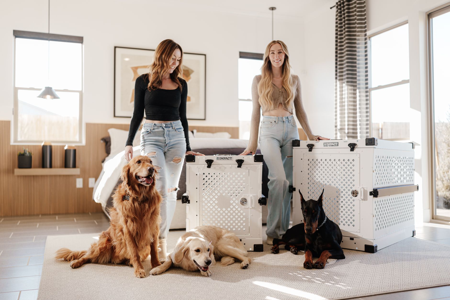 Best Dog Crates 2026: Wire, Soft-Sided & Heavy-Duty Picks