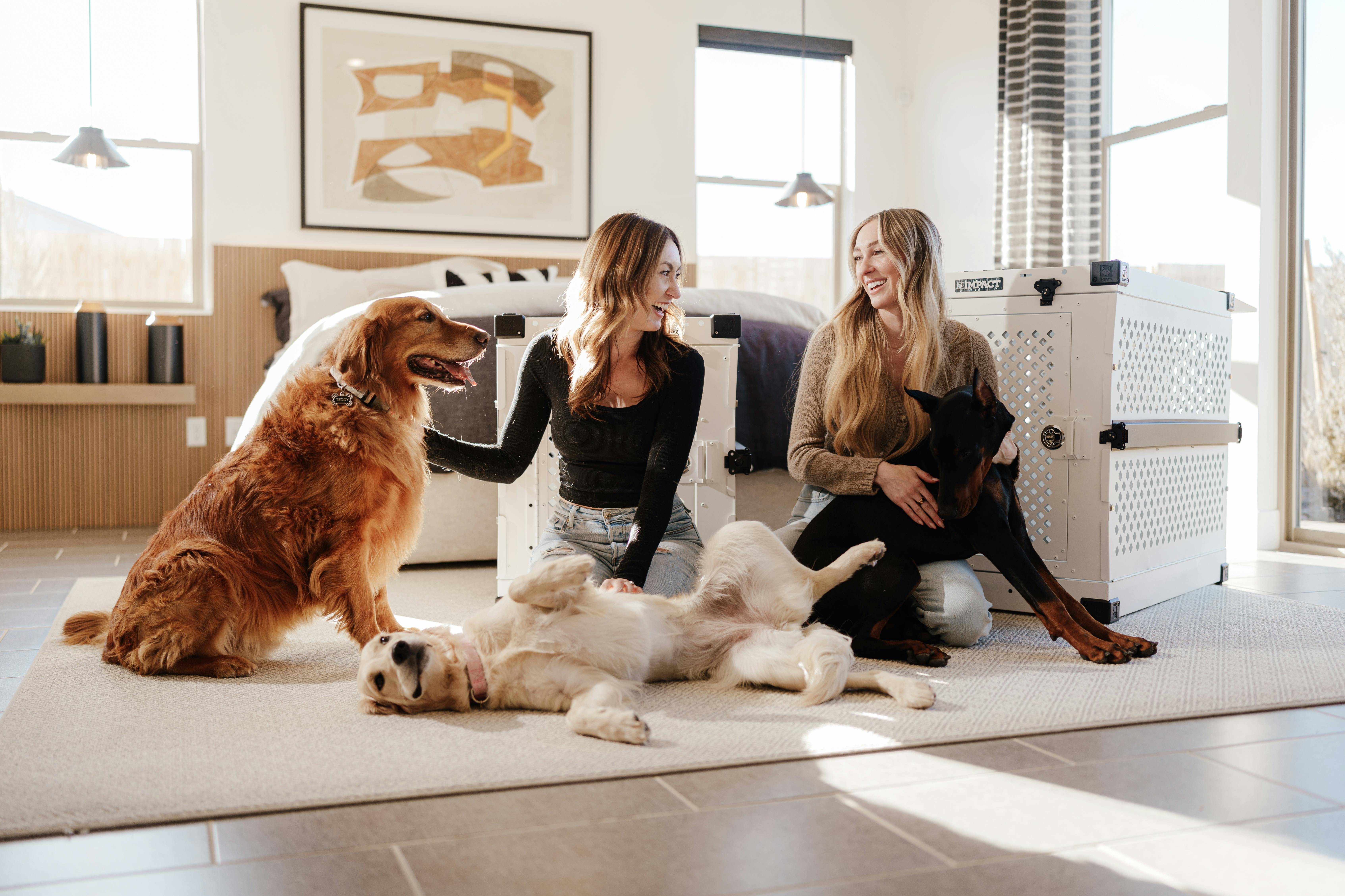 pet technology products — Photo by Impact Dog Crates on Pexels
