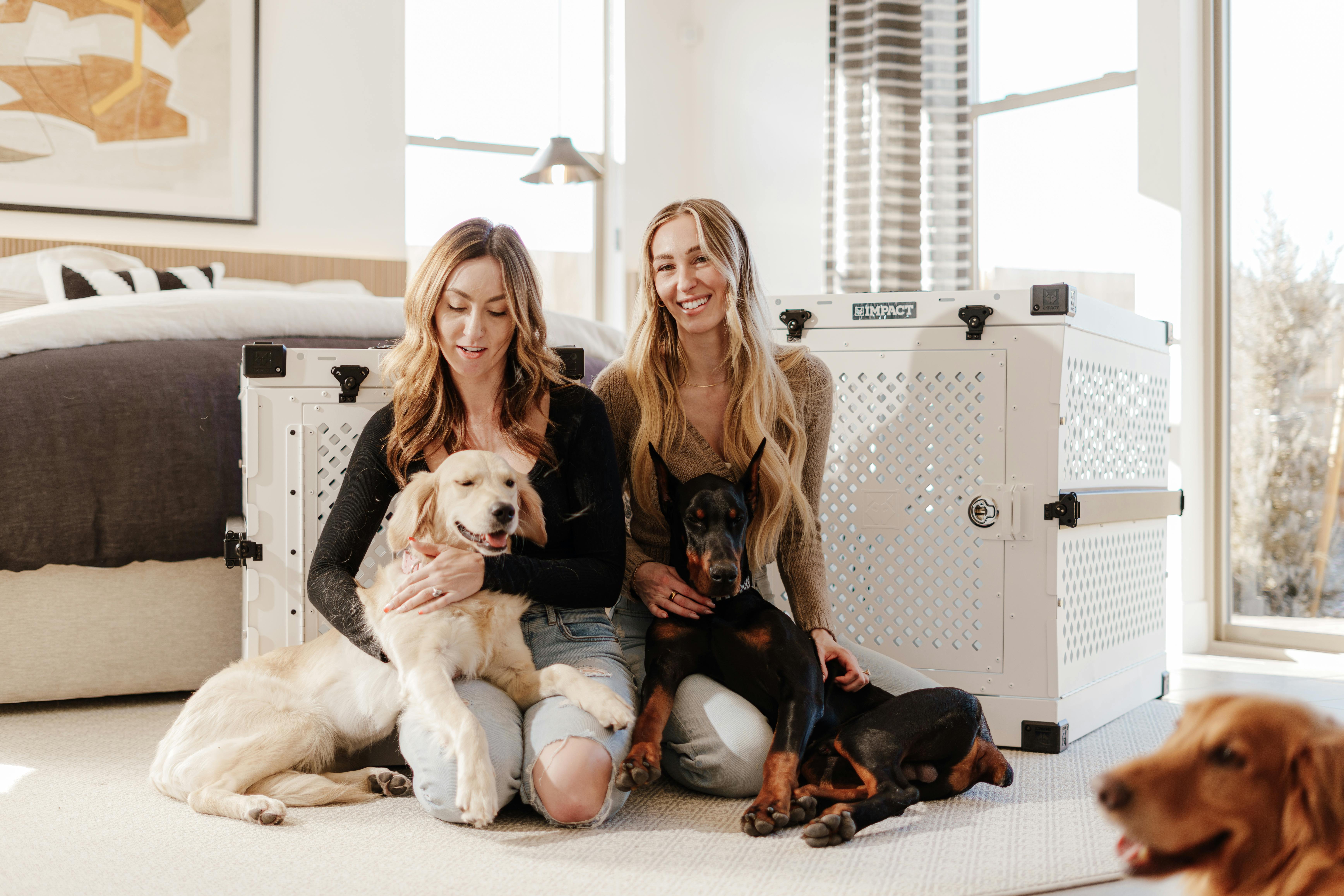 Forbes’ Best Pet Insurance Companies Of 2026 – Forbes Advisor - Forbes — Photo by Impact Dog Crates on Pexels