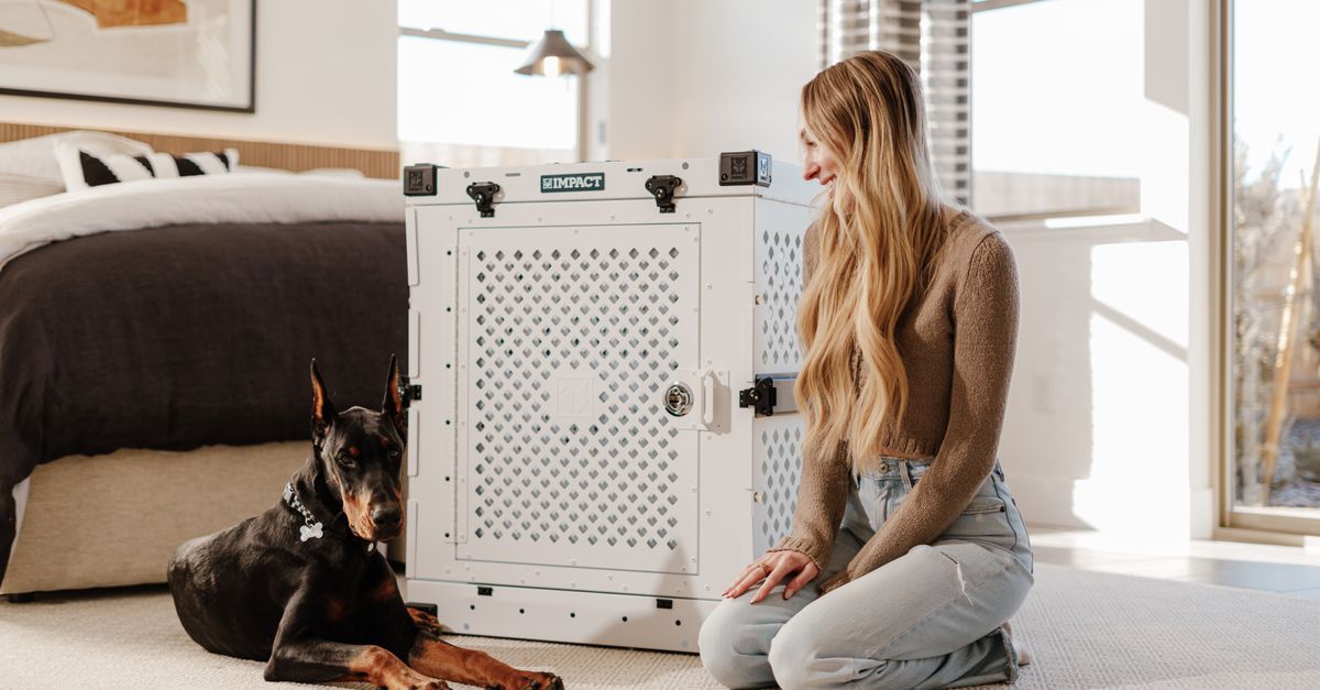 How to Create a Pet-Friendly Home Environment
