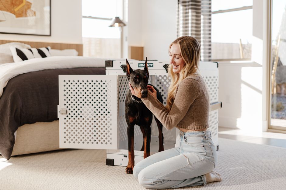 Large Dog Crate - Edmonton