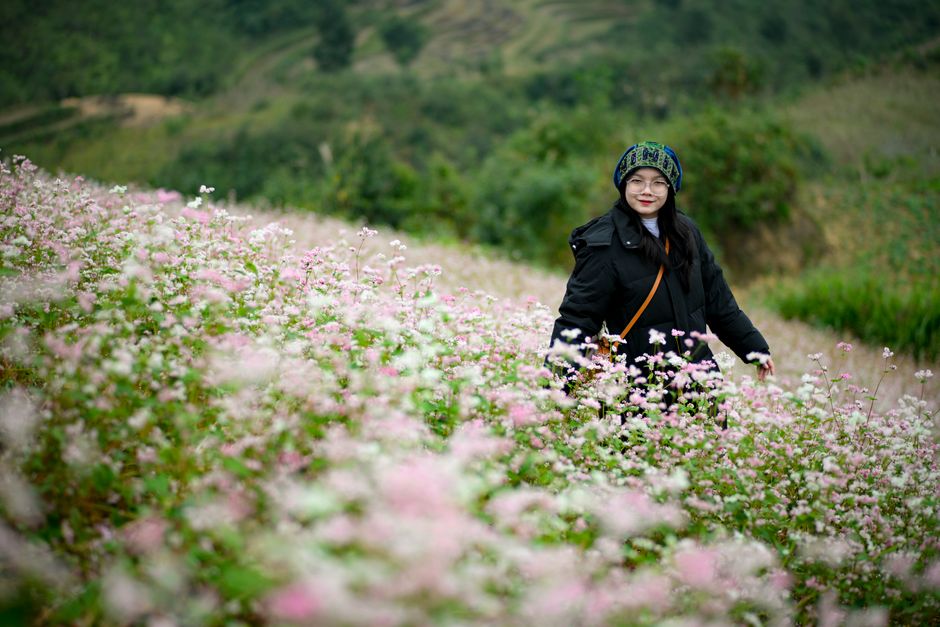 A woman enjoying a vibrant field of flowers in Hà Giang, Vietnam.