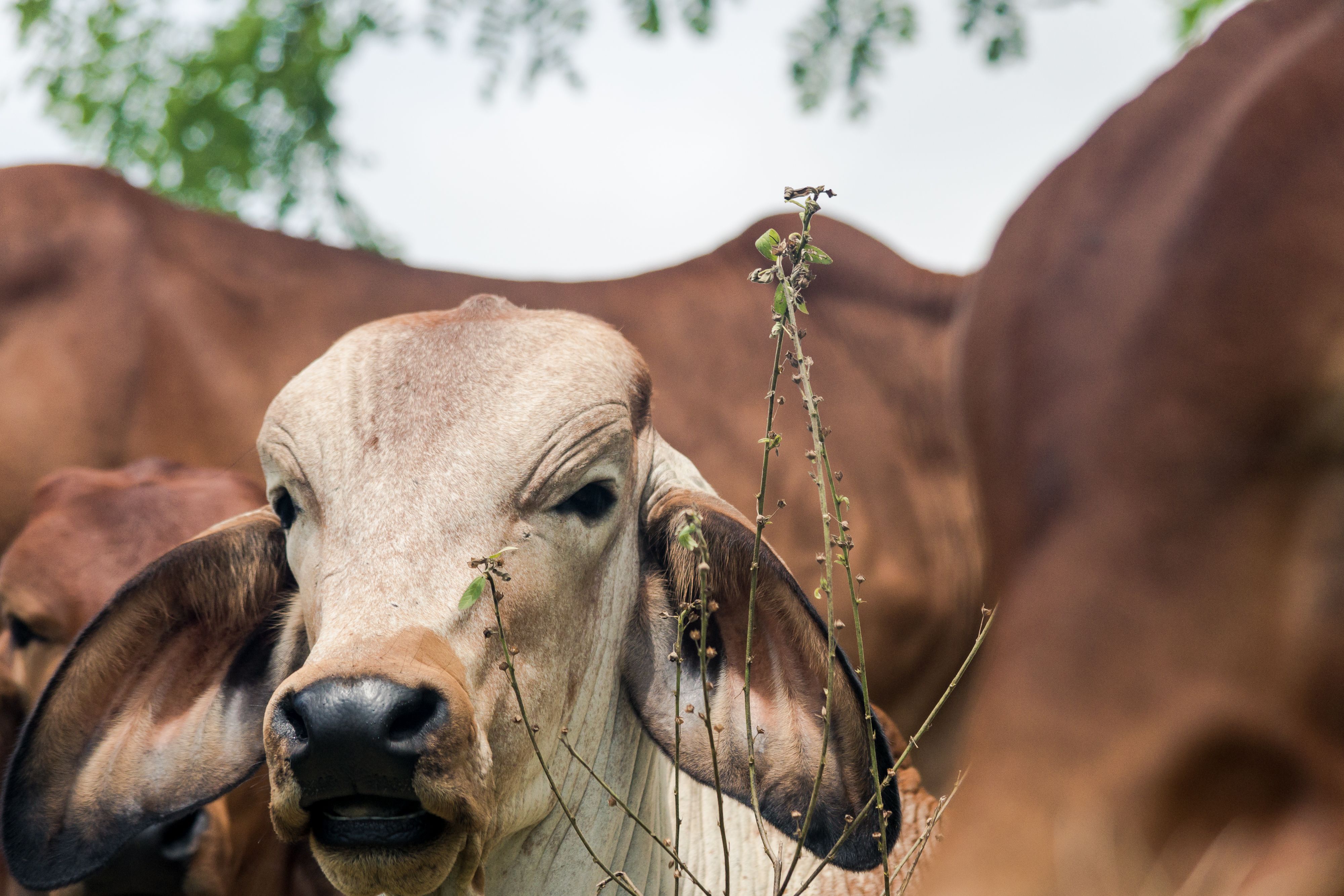 Photo by Carlos Alberto Carvajal Mojica on Pexels