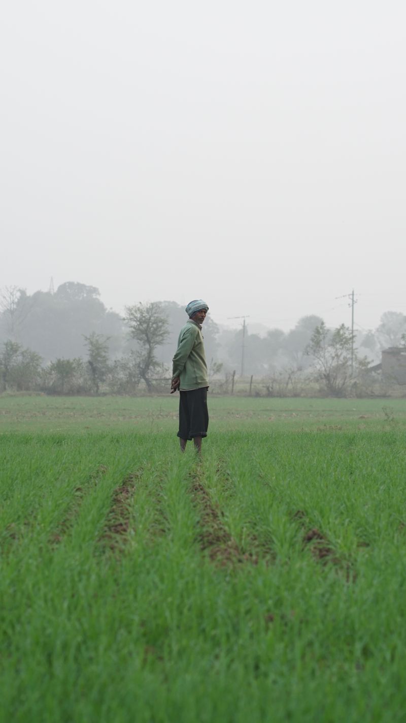 A grower standing in a green field — photo by Lenskachakkar on Pexels