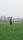 farmer