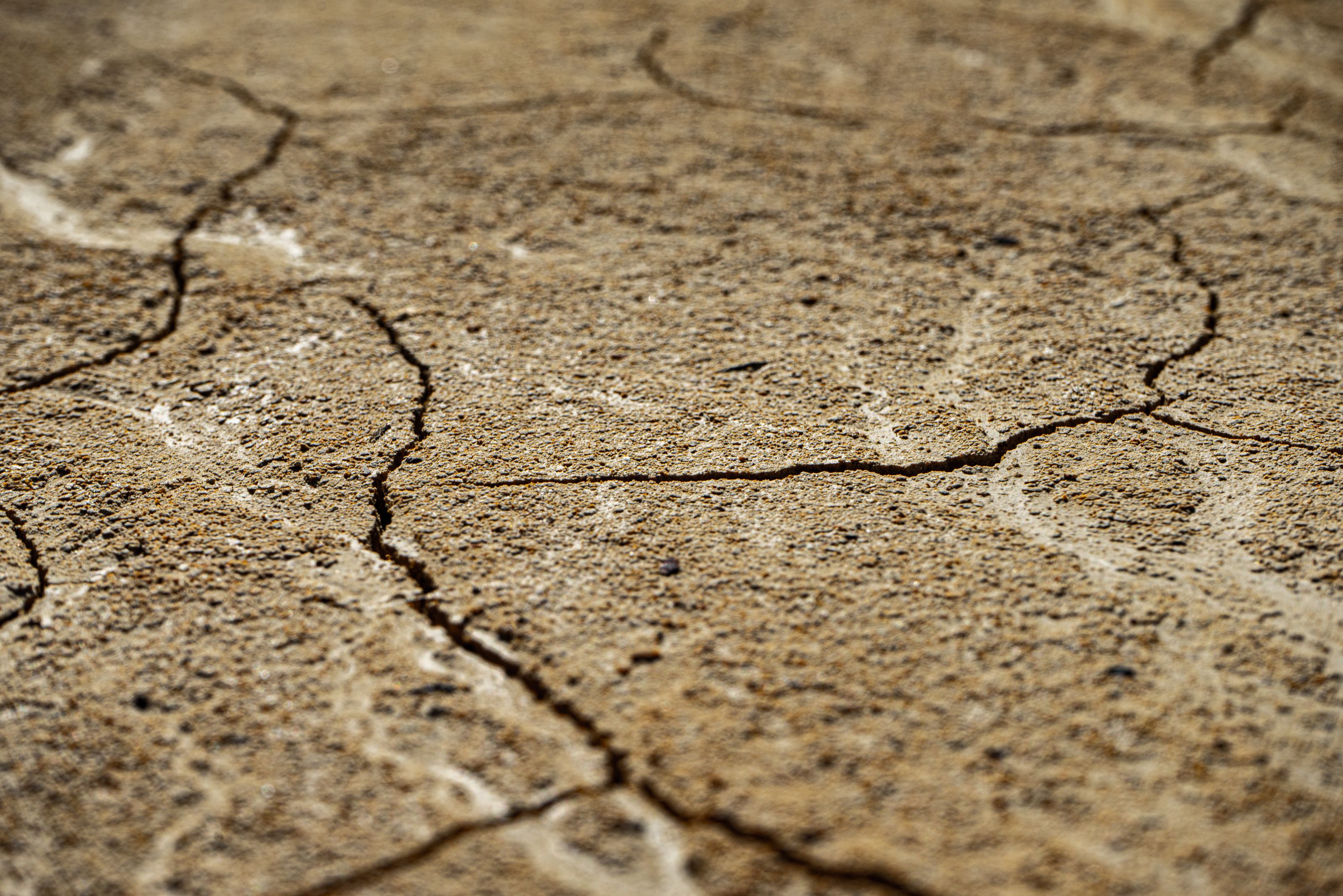 Close-up view of dry, cracked earth texture with intricate patterns.