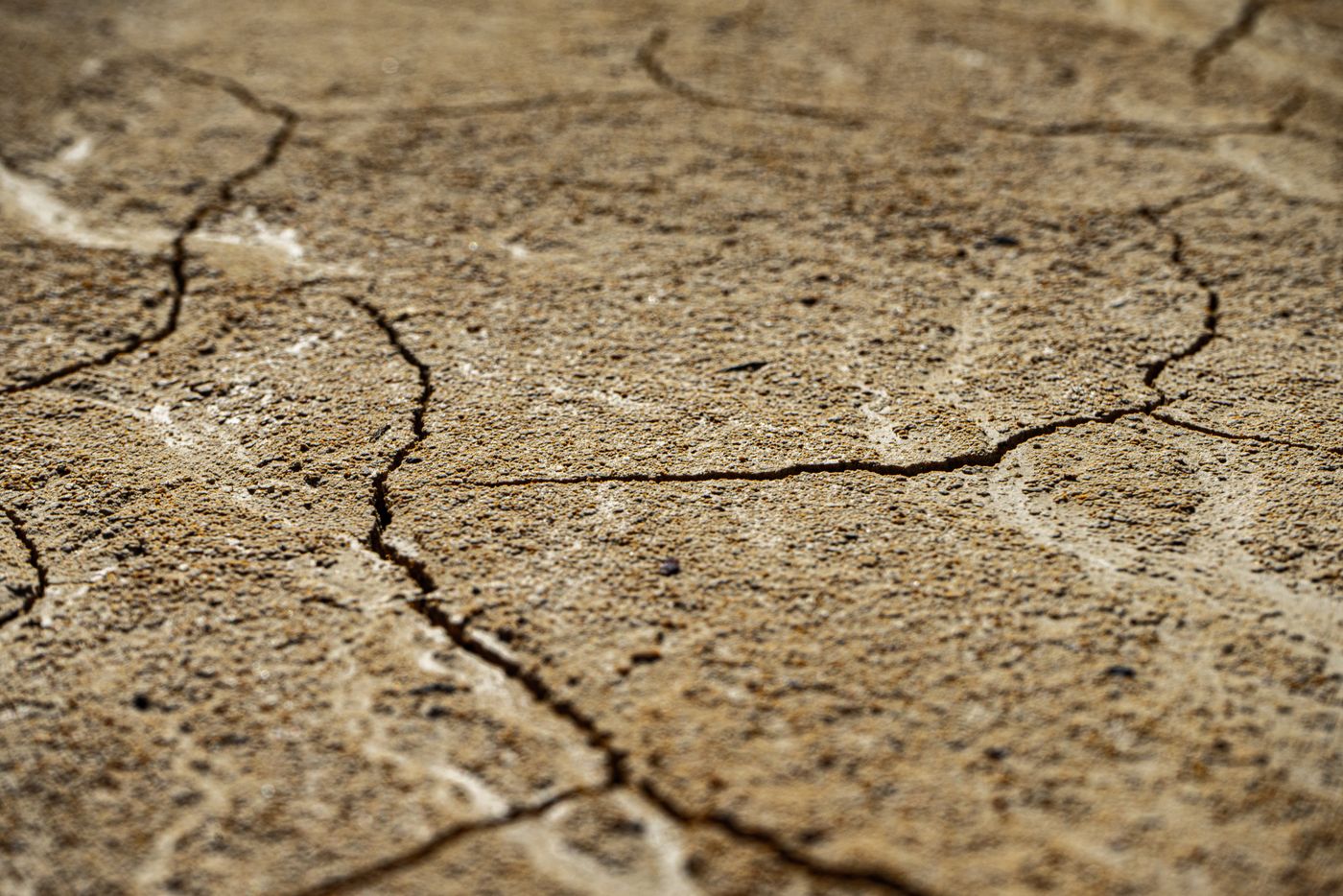 Close-up view of dry, cracked earth texture with intricate patterns.