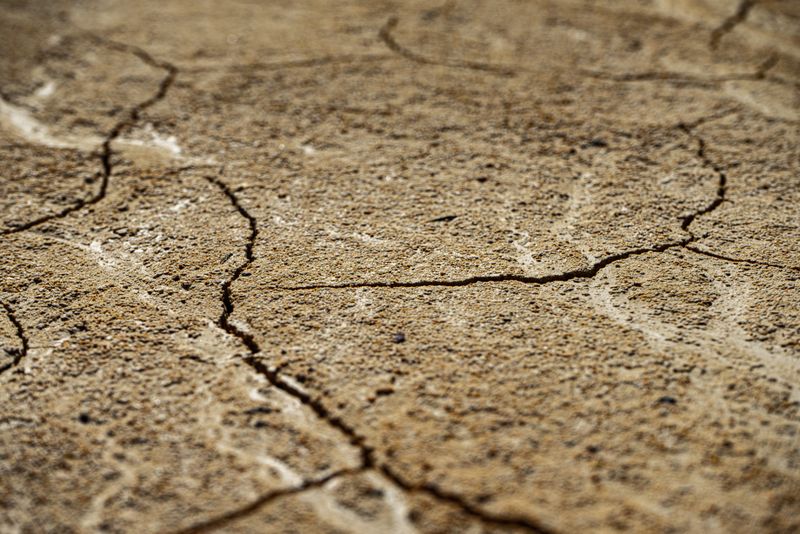 Drought and natural burial: what families need to know