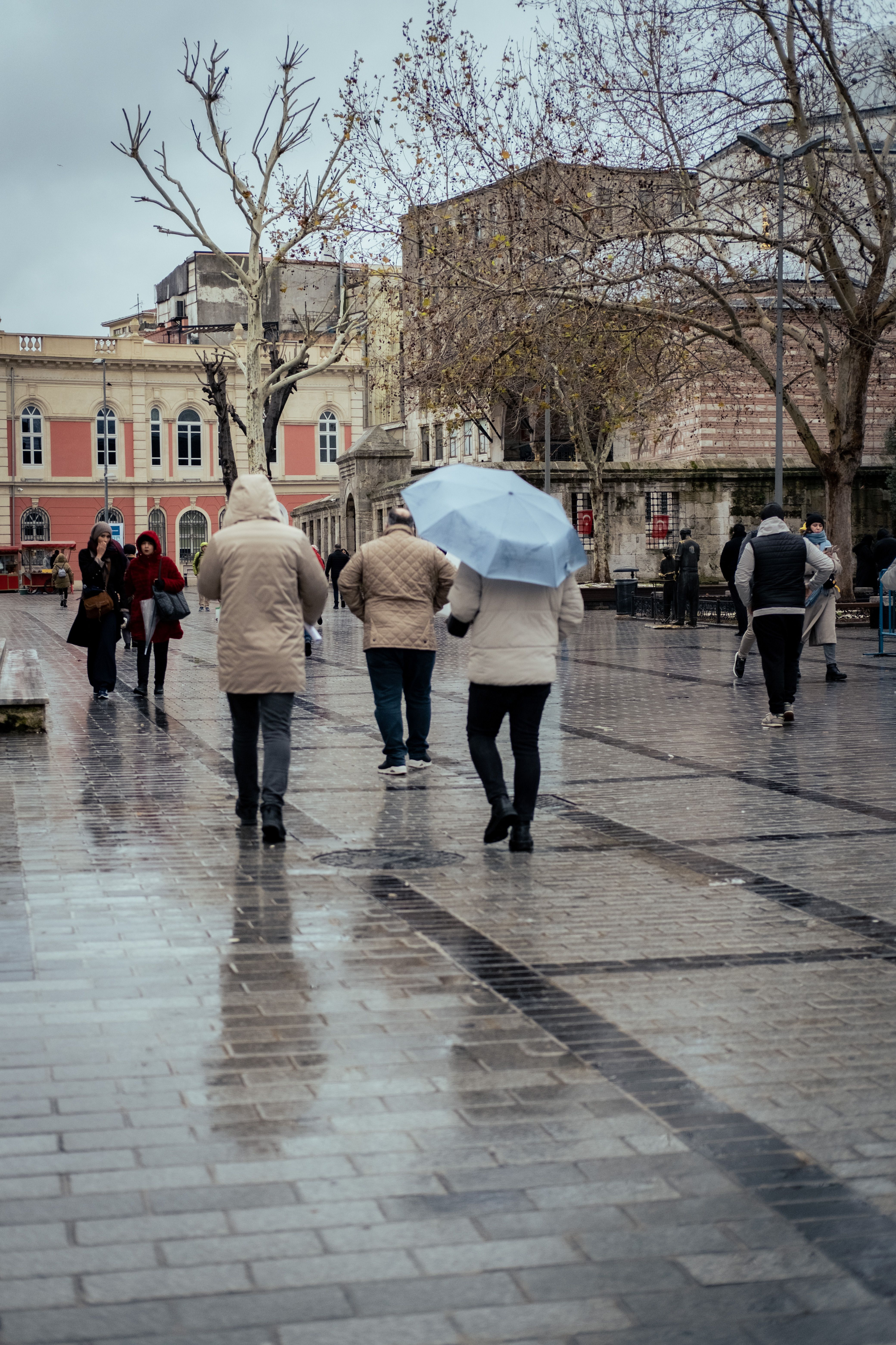City Street Scene On A Rainy Day With Umbrellas Free Stock Photo
