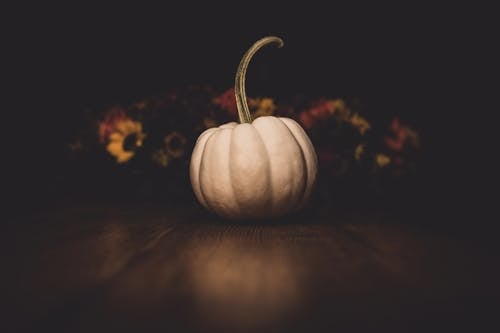 White Squash Macro Photography