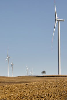 Wind turbines on a barren summer landscape with clear skies and a lone tree.