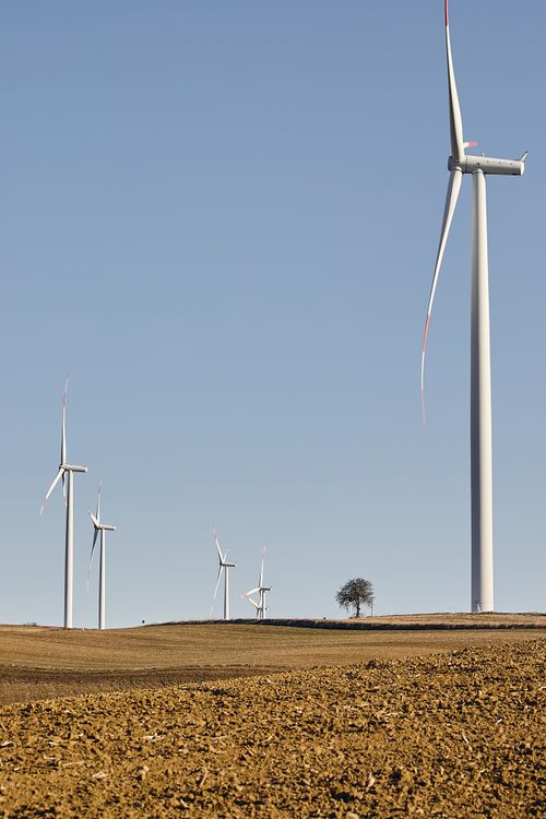 Free Wind turbines on a barren summer landscape with clear skies and a lone tree. Stock Photo