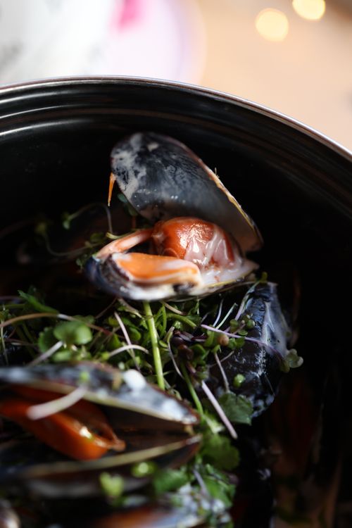 Free Close-up of mussels topped with fresh herbs in a black bowl, showcasing delicious seafood presentation. Stock Photo
