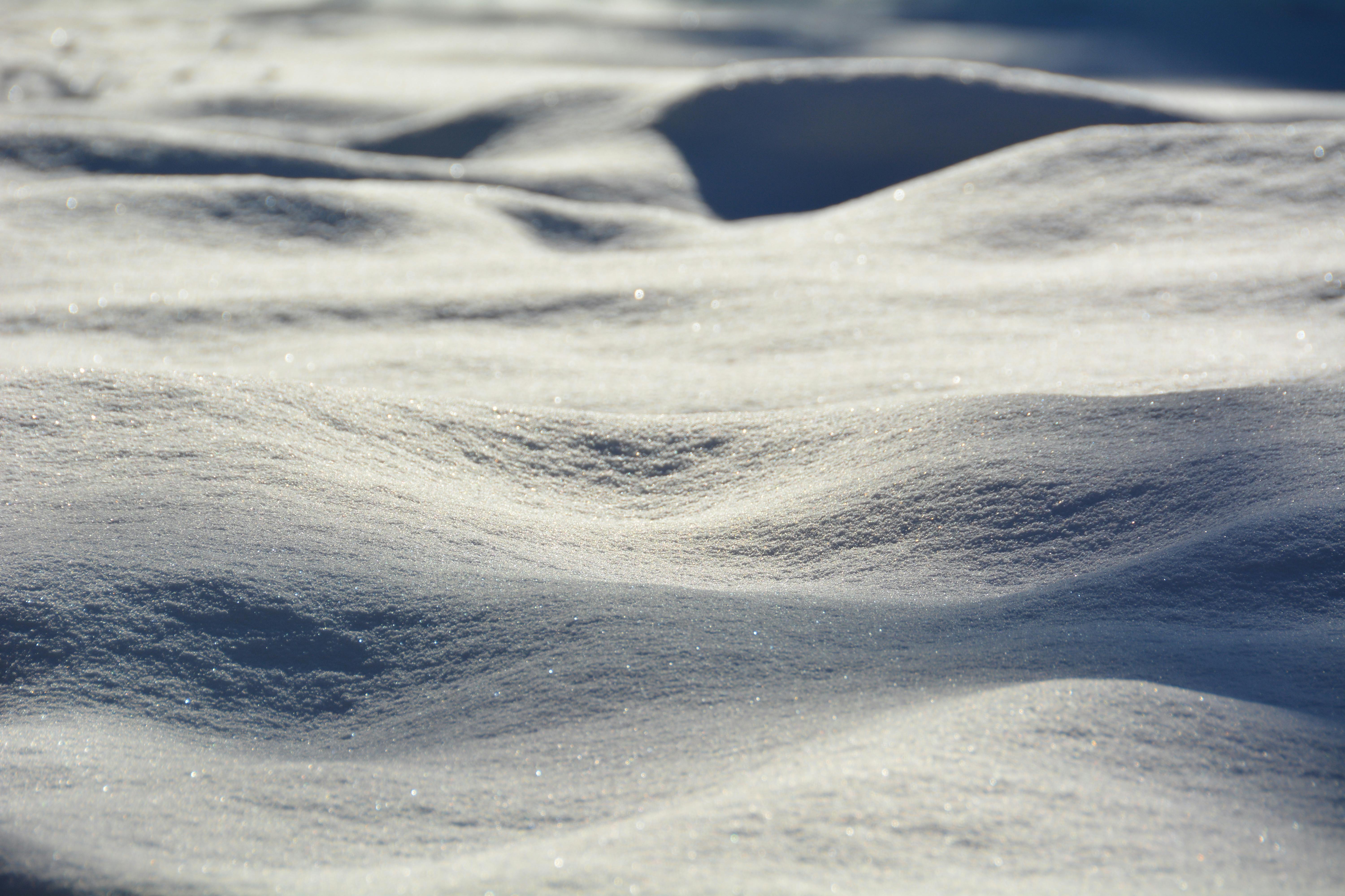 The Portrayal of Natural Beauty in Art