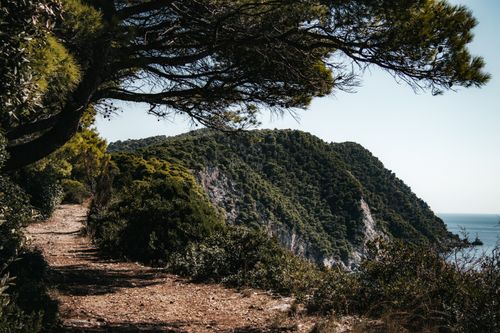 Free Explore the lush coastal trail on Lopud Island, Croatia, offering stunning views of the Adriatic Sea. Stock Photo
