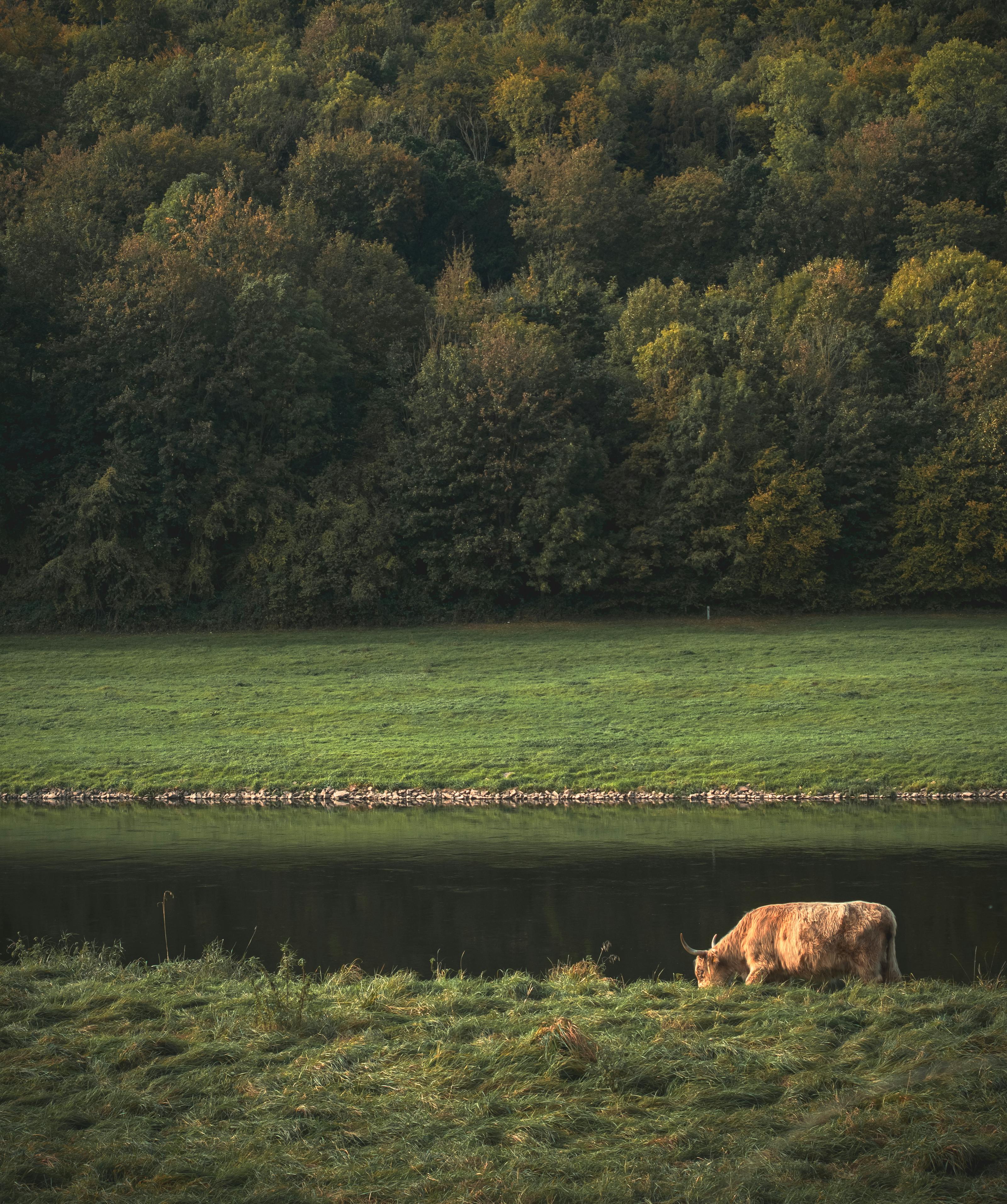 free-photo-of-serene-landscape-with-graz